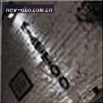 王丽